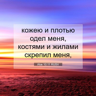 Picture 07 - Иов 10:11 RUSV - кожею и плотью одел меня, - Bible Verse Picture