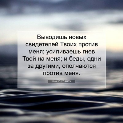 Picture 07 - Иов 10:17 RUSV - Выводишь новых свидетелей - Bible Verse Picture