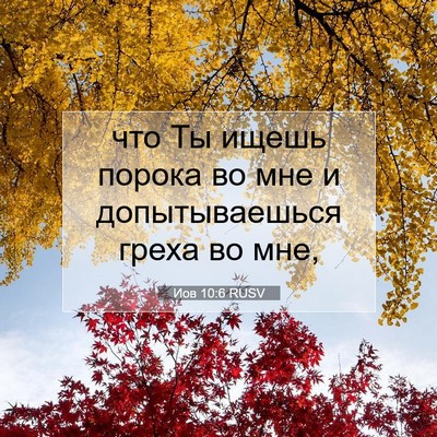 Picture 07 - Иов 10:6 RUSV - что Ты ищешь порока во мне - Bible Verse Picture