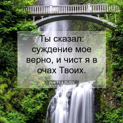 Picture 07 - Иов 11:4 RUSV - Ты сказал: суждение мое - Bible Verse Picture