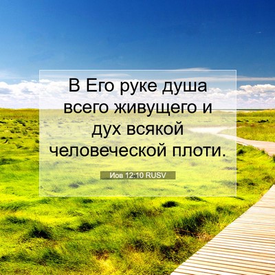 Picture 07 - Иов 12:10 RUSV - В Его руке душа всего - Bible Verse Picture