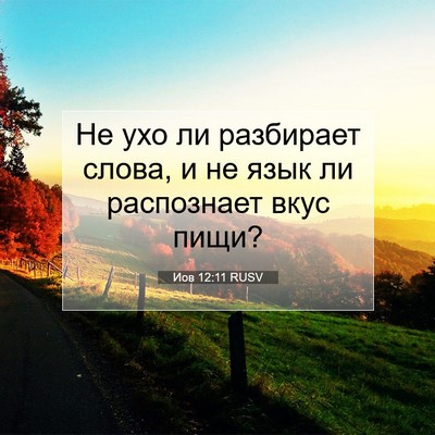 Picture 07 - Иов 12:11 RUSV - Не ухо ли разбирает слова, - Bible Verse Picture