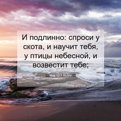 Picture 07 - Иов 12:7 RUSV - И подлинно: спроси у скота, - Bible Verse Picture