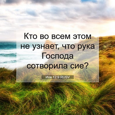 Picture 07 - Иов 12:9 RUSV - Кто во всем этом не узнает, - Bible Verse Picture