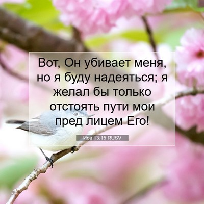 Picture 07 - Иов 13:15 RUSV - Вот, Он убивает меня, но я - Bible Verse Picture