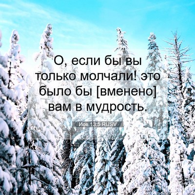 Picture 07 - Иов 13:5 RUSV - О, если бы вы только - Bible Verse Picture