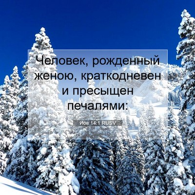 Picture 07 - Иов 14:1 RUSV - Человек, рожденный женою, - Bible Verse Picture