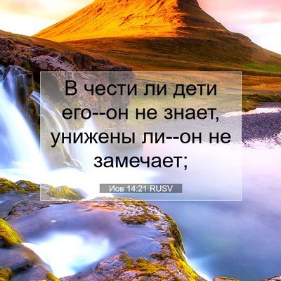 Picture 07 - Иов 14:21 RUSV - В чести ли дети его--он не - Bible Verse Picture