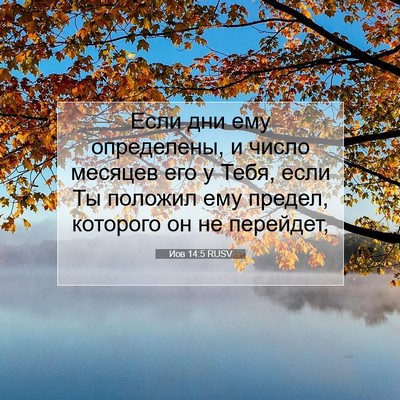 Picture 07 - Иов 14:5 RUSV - Если дни ему определены, и - Bible Verse Picture