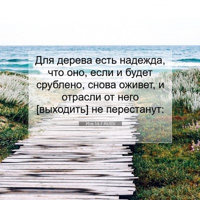 Picture 07 - Иов 14:7 RUSV - Для дерева есть надежда, - Bible Verse Picture