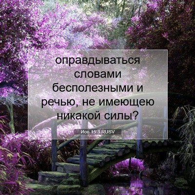 Picture 07 - Иов 15:3 RUSV - оправдываться словами - Bible Verse Picture