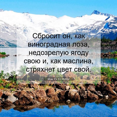 Picture 07 - Иов 15:33 RUSV - Сбросит он, как - Bible Verse Picture