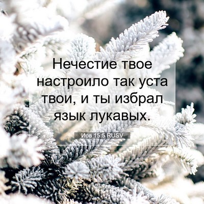 Picture 07 - Иов 15:5 RUSV - Нечестие твое настроило - Bible Verse Picture