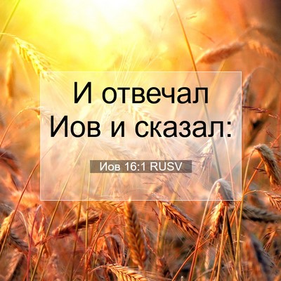 Picture 07 - Иов 16:1 RUSV - И отвечал Иов и - Bible Verse Picture