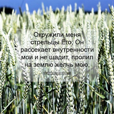 Picture 07 - Иов 16:13 RUSV - Окружили меня стрельцы - Bible Verse Picture