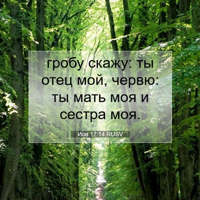 Picture 07 - Иов 17:14 RUSV - гробу скажу: ты отец мой, - Bible Verse Picture