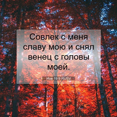 Picture 07 - Иов 19:9 RUSV - Совлек с меня славу мою и - Bible Verse Picture