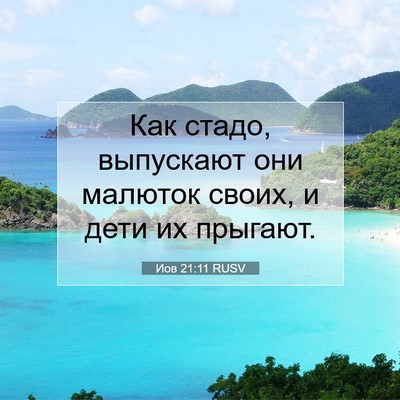 Picture 07 - Иов 21:11 RUSV - Как стадо, выпускают они - Bible Verse Picture