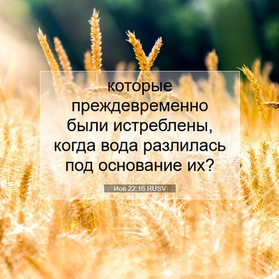 Picture 07 - Иов 22:16 RUSV - которые преждевременно - Bible Verse Picture