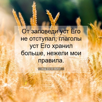 Picture 07 - Иов 23:12 RUSV - От заповеди уст Его не - Bible Verse Picture