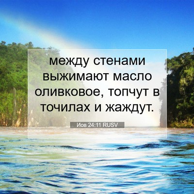 Picture 07 - Иов 24:11 RUSV - между стенами выжимают - Bible Verse Picture
