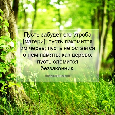 Picture 07 - Иов 24:20 RUSV - Пусть забудет его утроба - Bible Verse Picture