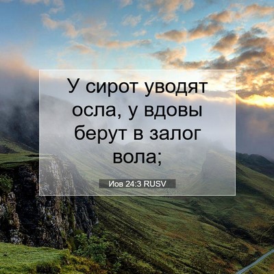 Picture 07 - Иов 24:3 RUSV - У сирот уводят осла, у - Bible Verse Picture