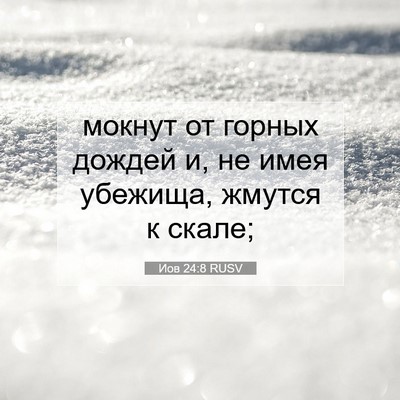 Picture 07 - Иов 24:8 RUSV - мокнут от горных дождей и, - Bible Verse Picture