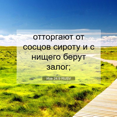 Picture 07 - Иов 24:9 RUSV - отторгают от сосцов сироту - Bible Verse Picture