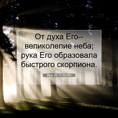 Picture 07 - Иов 26:13 RUSV - От духа Его--великолепие - Bible Verse Picture