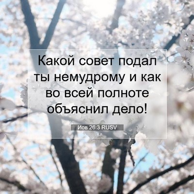 Picture 07 - Иов 26:3 RUSV - Какой совет подал ты - Bible Verse Picture