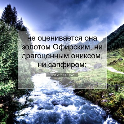 Picture 07 - Иов 28:16 RUSV - не оценивается она золотом - Bible Verse Picture