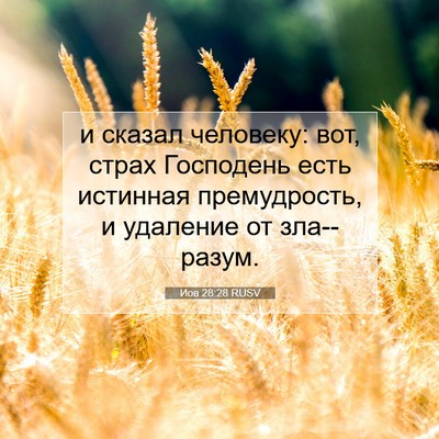Picture 07 - Иов 28:28 RUSV - и сказал человеку: вот, - Bible Verse Picture