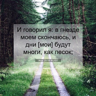 Picture 07 - Иов 29:18 RUSV - И говорил я: в гнезде моем - Bible Verse Picture
