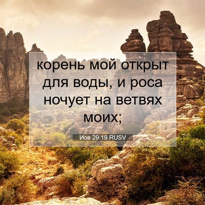 Picture 07 - Иов 29:19 RUSV - корень мой открыт для воды, - Bible Verse Picture