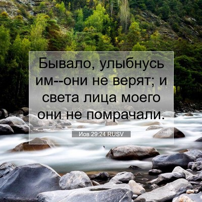 Picture 07 - Иов 29:24 RUSV - Бывало, улыбнусь им--они не - Bible Verse Picture