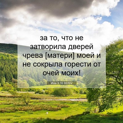 Picture 07 - Иов 3:10 RUSV - за то, что не затворила - Bible Verse Picture