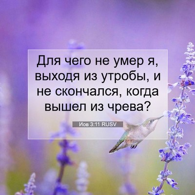 Picture 07 - Иов 3:11 RUSV - Для чего не умер я, выходя - Bible Verse Picture