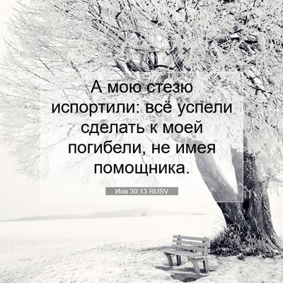 Picture 07 - Иов 30:13 RUSV - А мою стезю испортили: всё - Bible Verse Picture