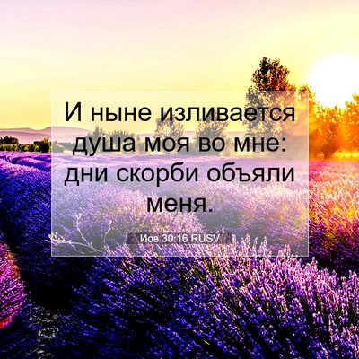 Picture 07 - Иов 30:16 RUSV - И ныне изливается душа моя - Bible Verse Picture