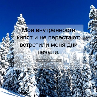 Picture 07 - Иов 30:27 RUSV - Мои внутренности кипят и - Bible Verse Picture