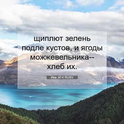 Picture 07 - Иов 30:4 RUSV - щиплют зелень подле - Bible Verse Picture