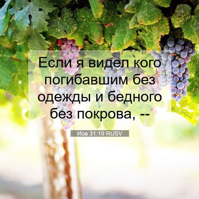 Picture 07 - Иов 31:19 RUSV - Если я видел кого - Bible Verse Picture