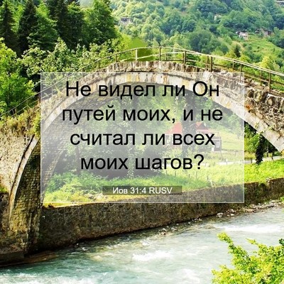 Picture 07 - Иов 31:4 RUSV - Не видел ли Он путей моих, и - Bible Verse Picture