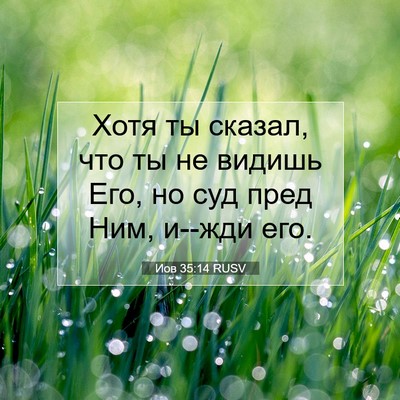 Picture 07 - Иов 35:14 RUSV - Хотя ты сказал, что ты не - Bible Verse Picture