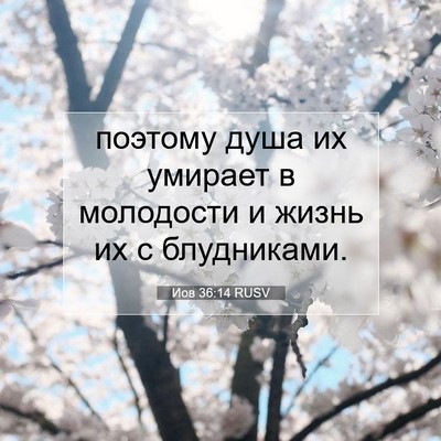Picture 07 - Иов 36:14 RUSV - поэтому душа их умирает в - Bible Verse Picture