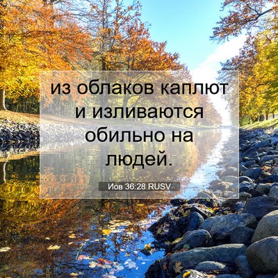 Picture 07 - Иов 36:28 RUSV - из облаков каплют и - Bible Verse Picture