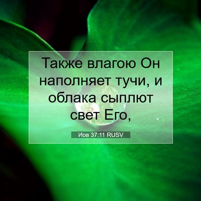 Picture 07 - Иов 37:11 RUSV - Также влагою Он наполняет - Bible Verse Picture