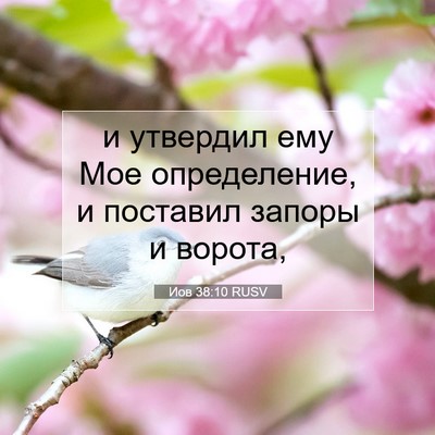 Picture 07 - Иов 38:10 RUSV - и утвердил ему Мое - Bible Verse Picture