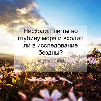 Picture 07 - Иов 38:16 RUSV - Нисходил ли ты во глубину - Bible Verse Picture
